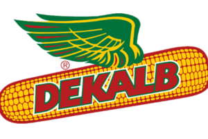 dekalb logo 