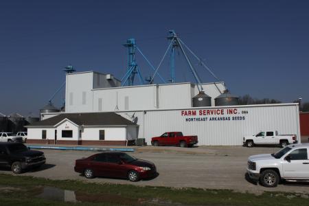 FSI Seed Plant 